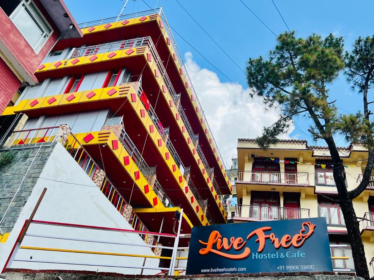 Live Free Hostel, Mcleodganj McLeod Ganj Zewnętrze zdjęcie