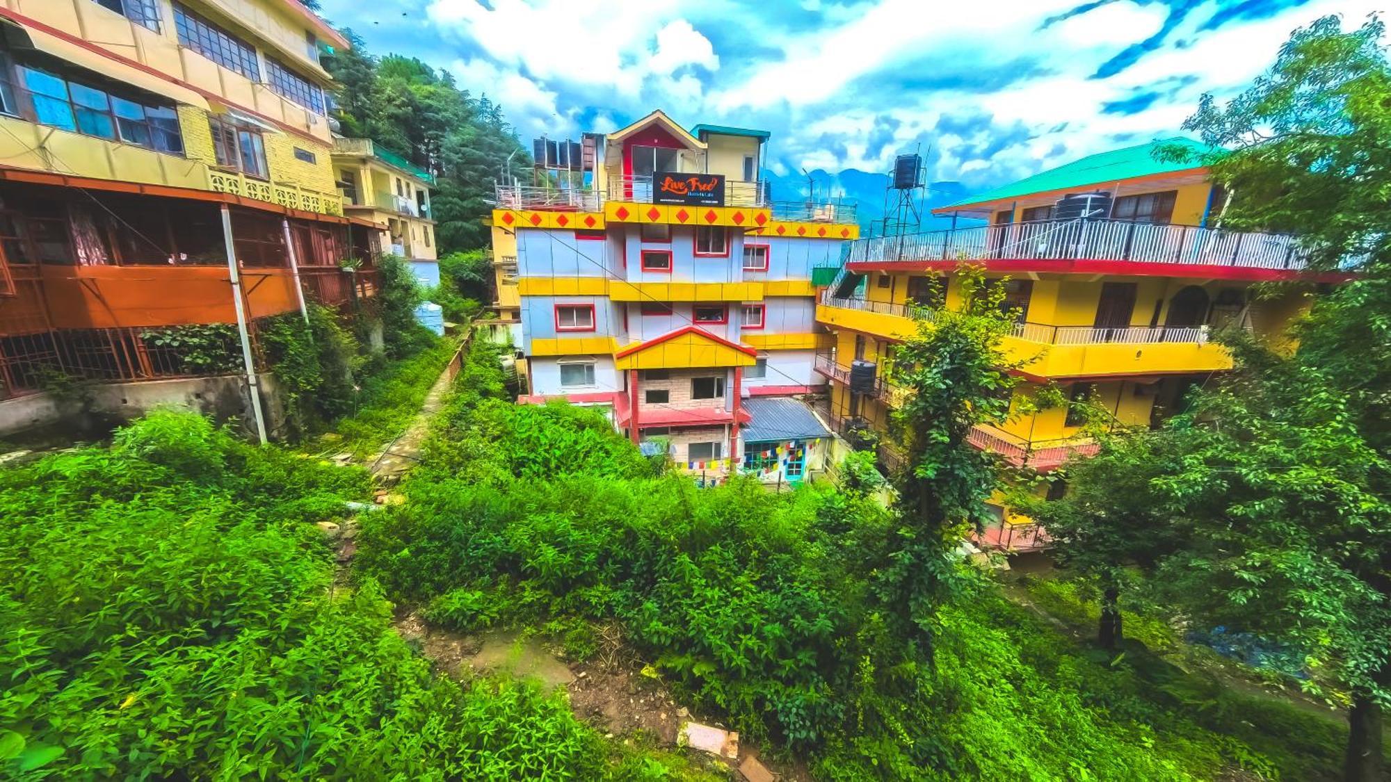 Live Free Hostel, Mcleodganj McLeod Ganj Zewnętrze zdjęcie